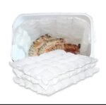 Gel Ice sheet - 24 Pocket Dubai - Real Photo Use