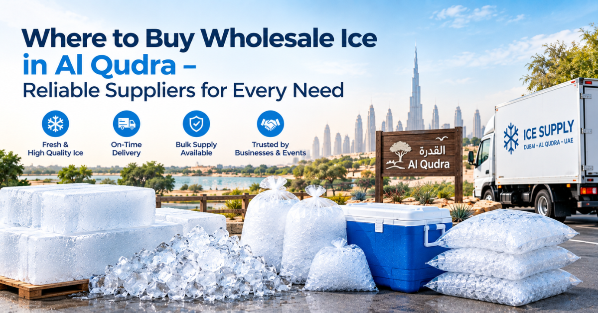 Where to Buy Wholesale Ice in Al Qudra – Reliable Suppliers for Every Need